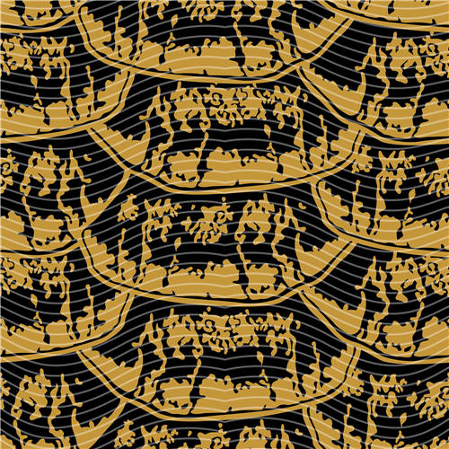 holographic Big- 428